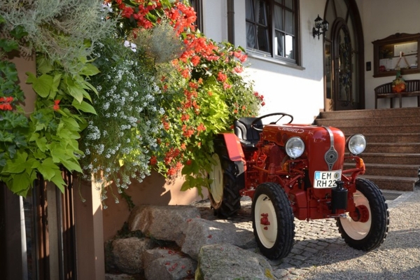 Hotel Riegeler Hof (Riegel am Kaiserstuhl)